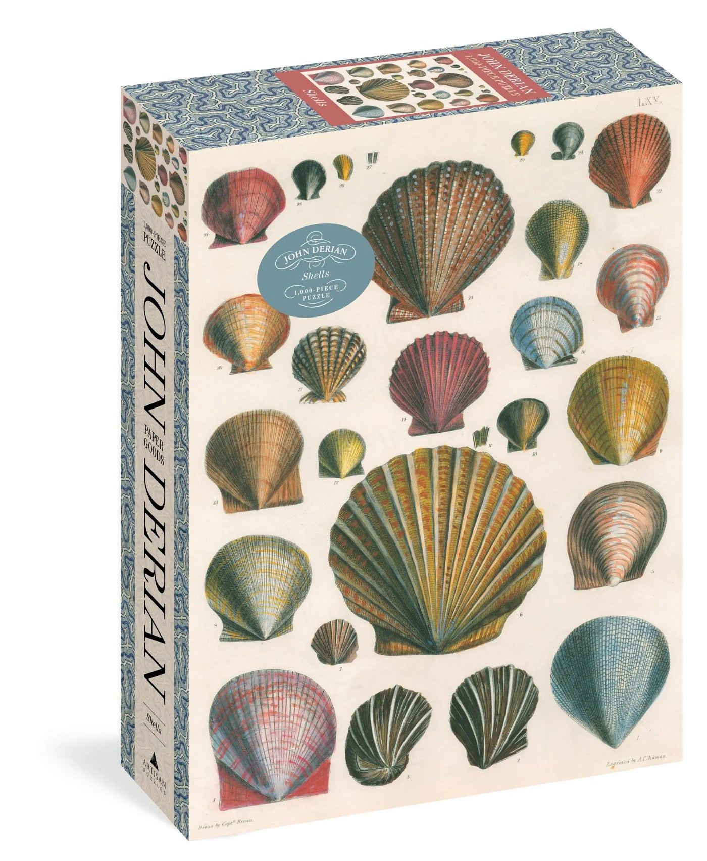 Shells Puzzle