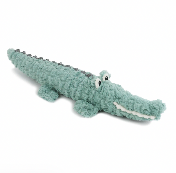 Armand Alligator