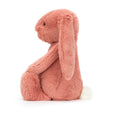 Bashful Sorrel Bunny