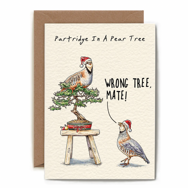 Partridge Christmas Card