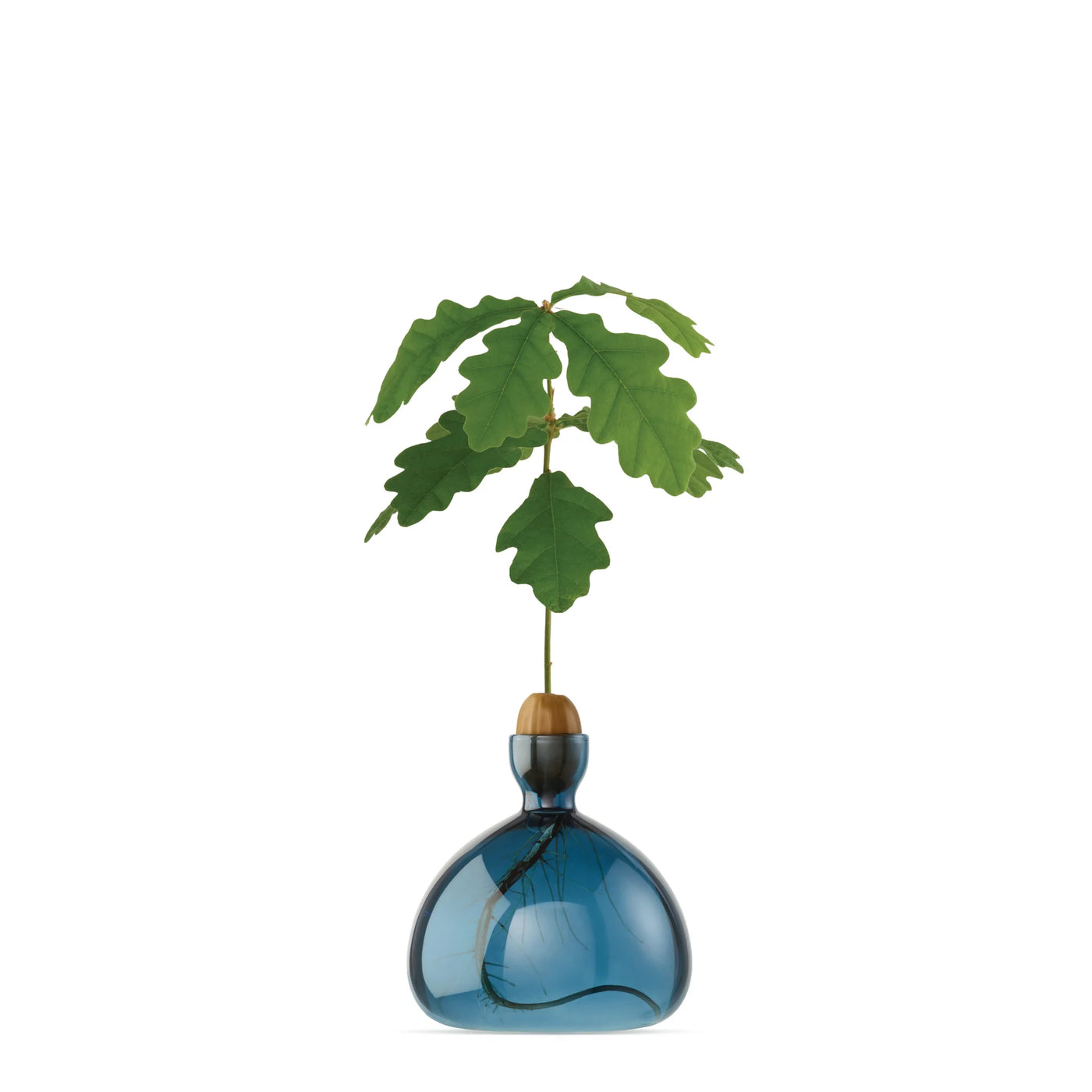 Acorn Vase
