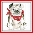 Collegiate Mascot Cocktail Napkins