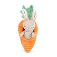 Bunny in Carrot