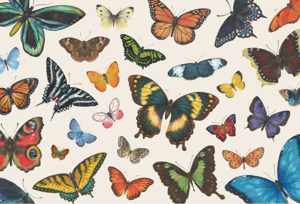 Butterfly Flight Placemats