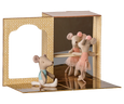 Ballet Mice in Dance Studio