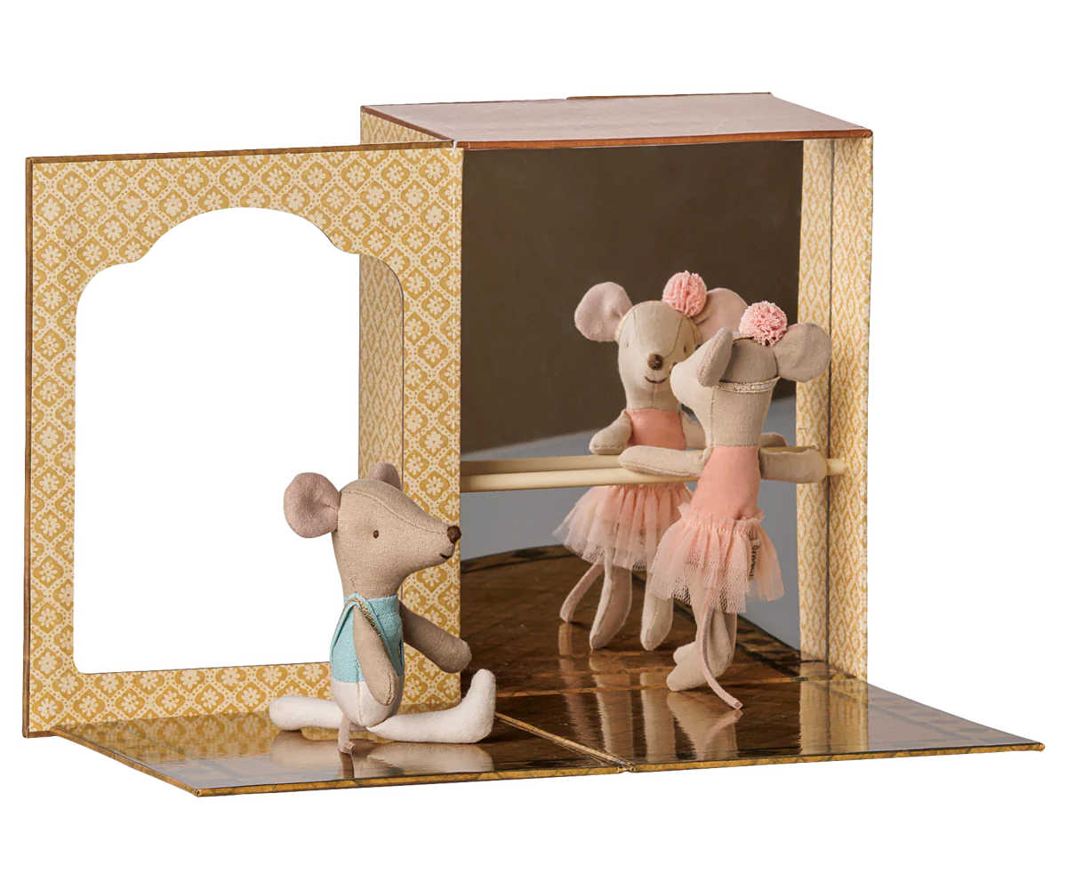 Ballet Mice in Dance Studio