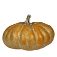 Ceramic Orange Pumpkin