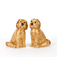 Cockapoo Salt & Pepper Set