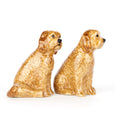 Cockapoo Salt & Pepper Set