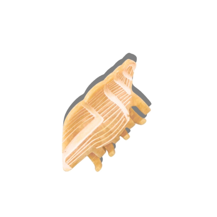 Conus Conch Hair Clip