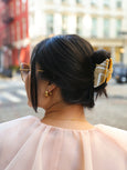 Conus Conch Hair Clip