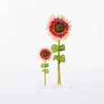 Acrylic Floral Decoration