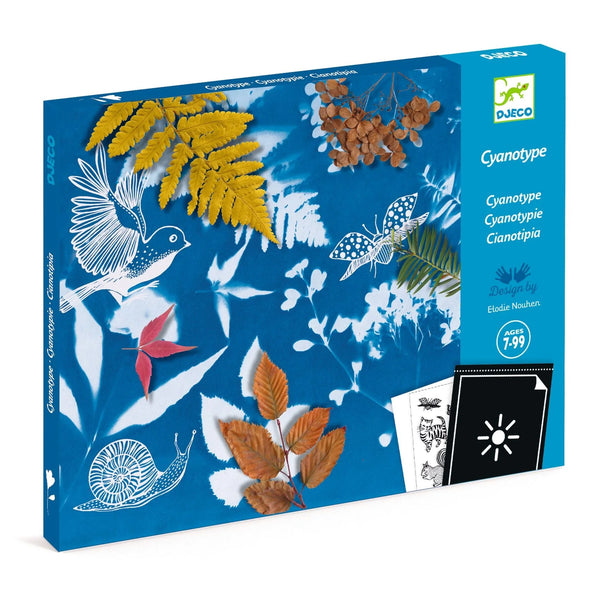 Cyanotype Kit