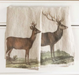 Nature-Inspired Linen Kitchen Towel Set