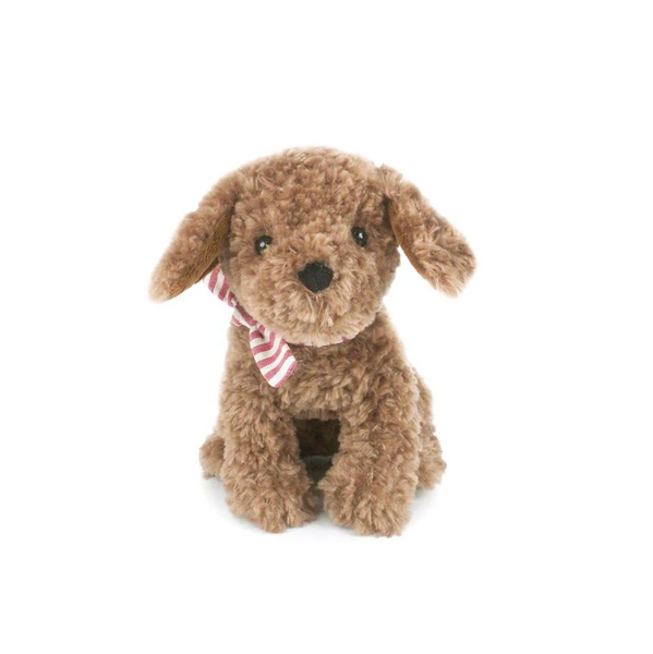 Duke Labradoodle