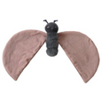 Insect Lovey