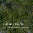 Wiberg’s Pine Hand Wash