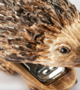 Porcelain Hedgehog Stapler