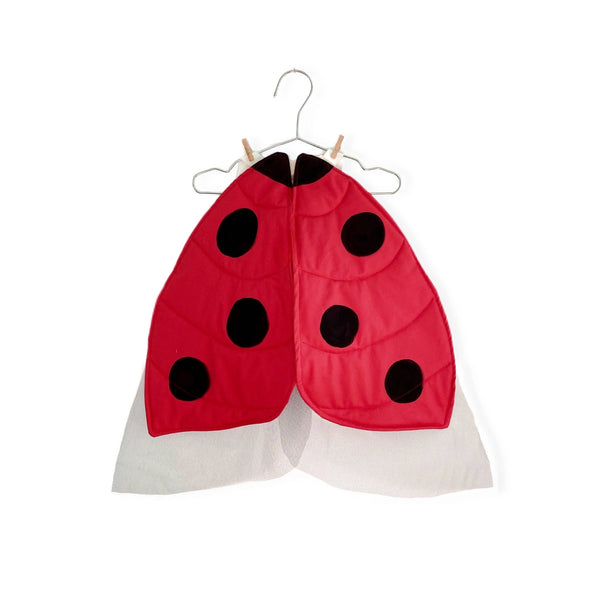 Ladybug Insect Costume