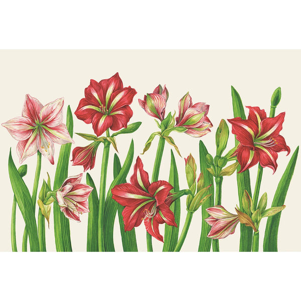 Amaryllis Blooms Placemats