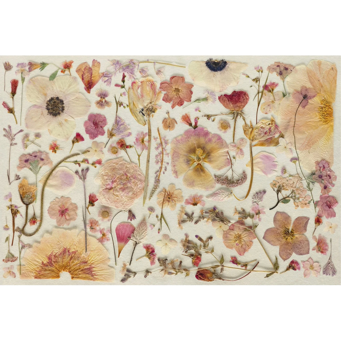Blush Petals Placemats
