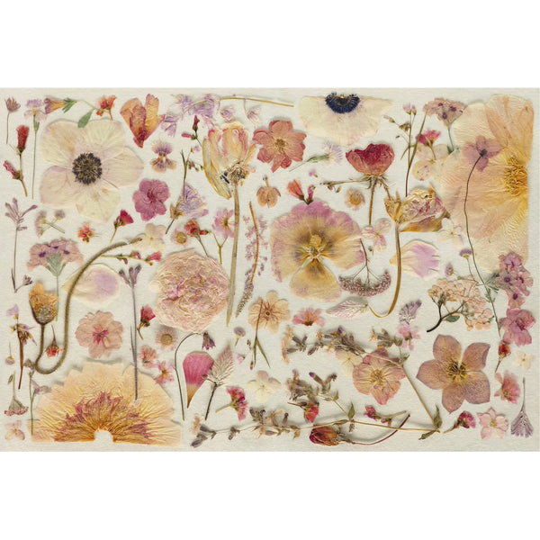 Blush Petals Placemats