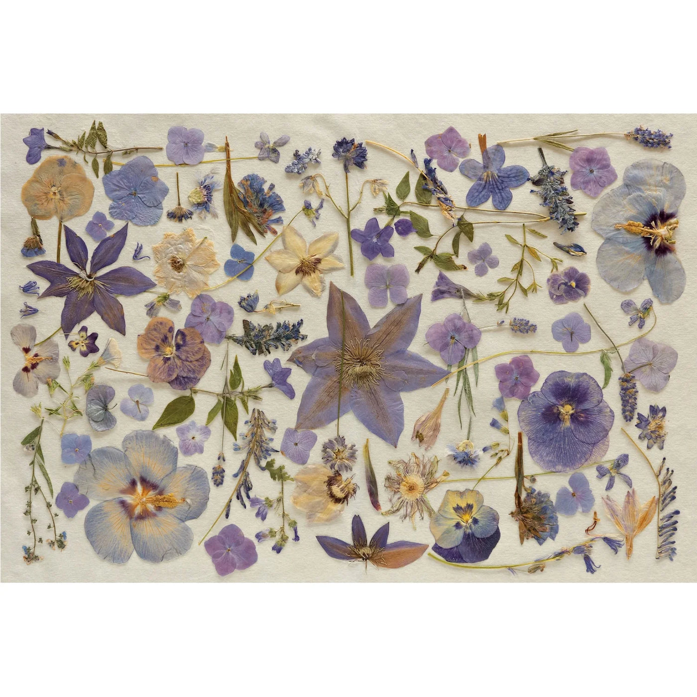 Periwinkle Pressed Petals Placemats