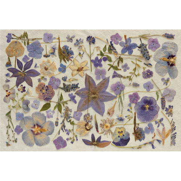 Periwinkle Pressed Petals Placemats