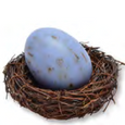 Egg Soap