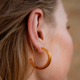 Tara Hoops