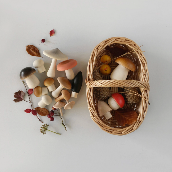 Wooden Mushrooms & Basket Set