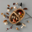 Wooden Mushrooms & Basket Set