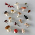 Wooden Mushrooms & Basket Set
