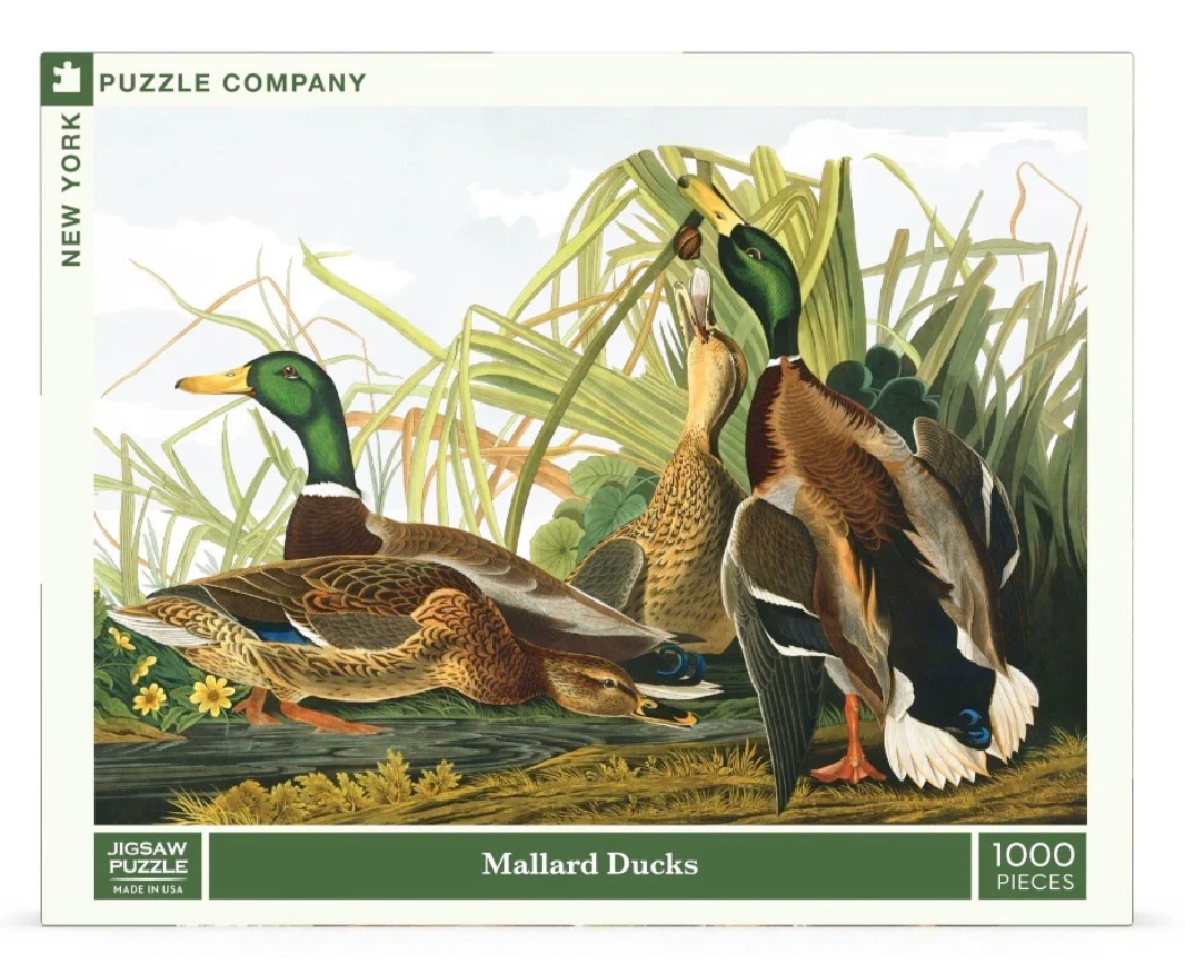 Mallard Ducks Puzzle