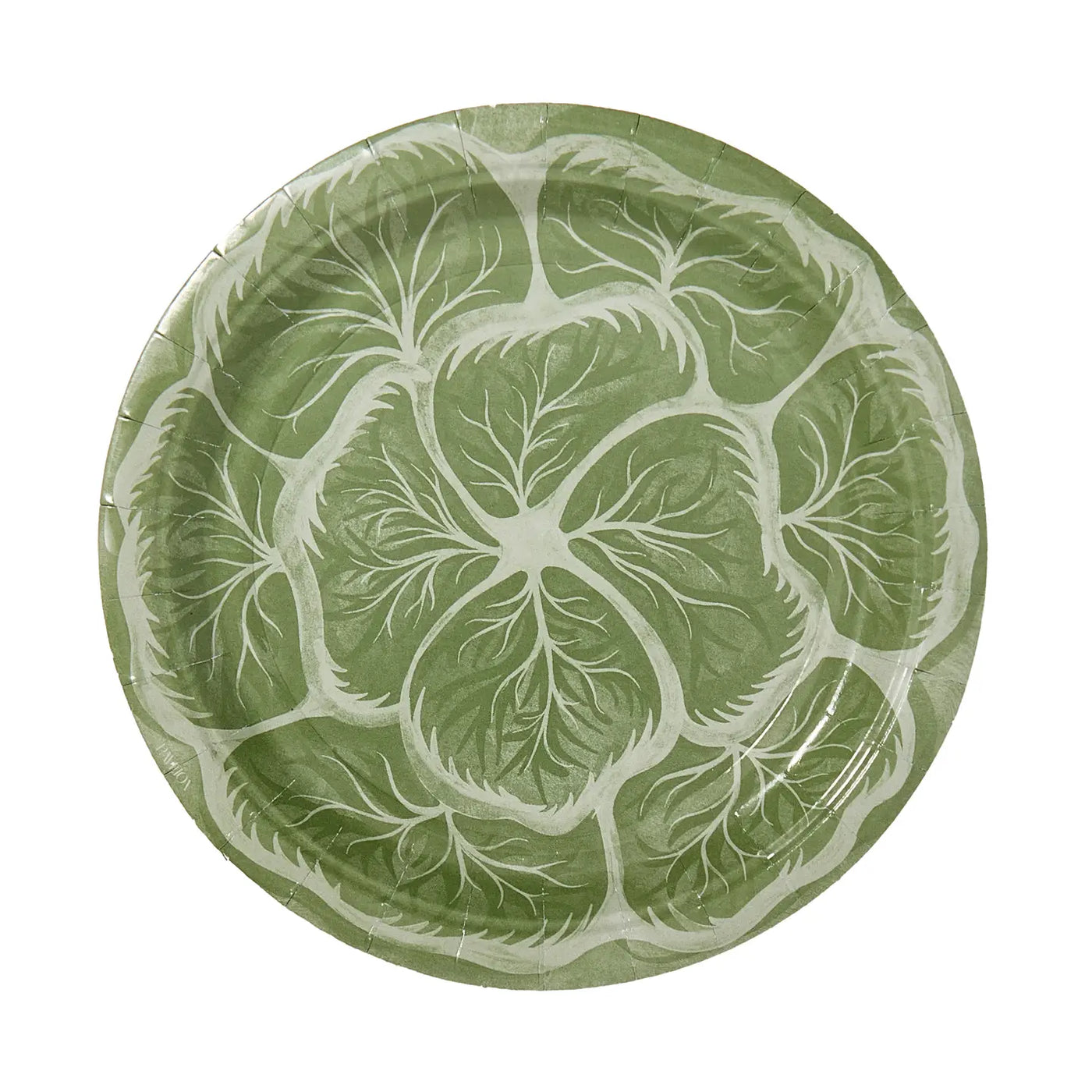 Cabbage Paper Plates