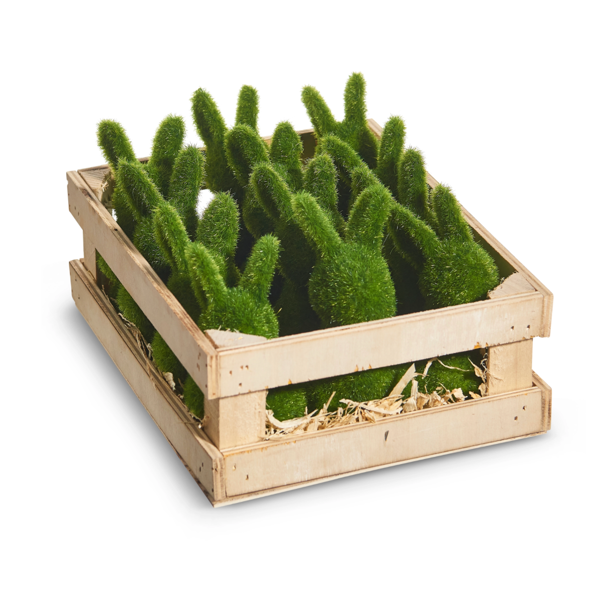 Moss Rabbit