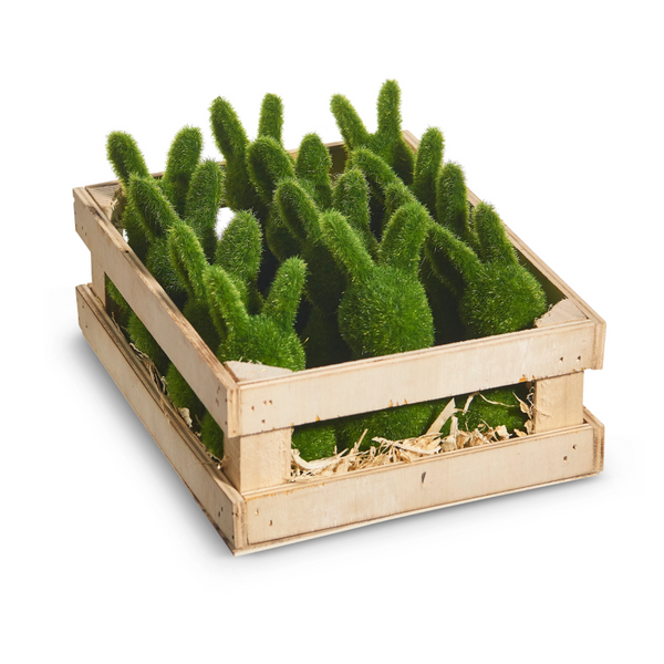 Moss Rabbit