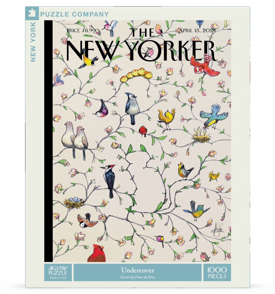 Undercover Puzzle