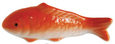 Koi Floating Fish