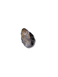 Oyster Hair Clip