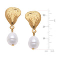 Gold Oyster & Pearl Drop Earrings