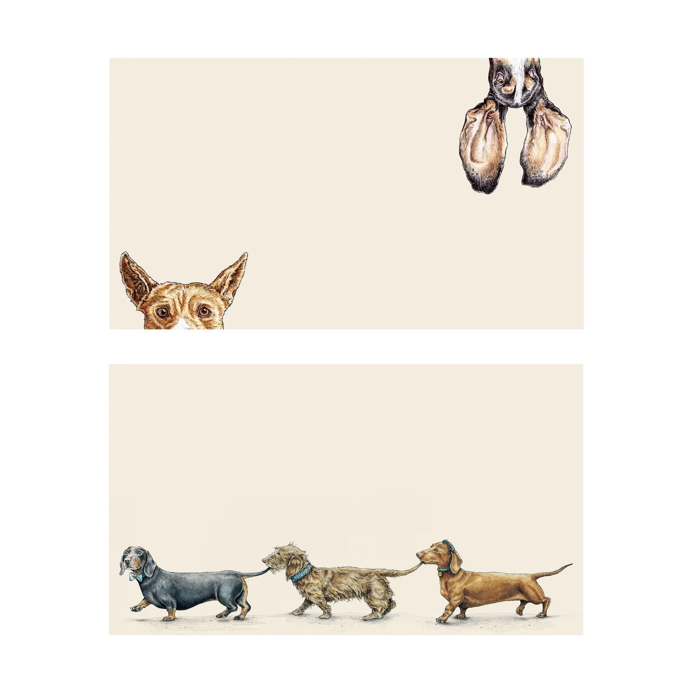 Heads & Tails Tiny Notes