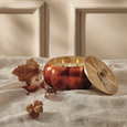 Thymes Pumpkin Laurel Collection