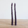 Asparagus Taper Candle Set