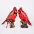 Red Cardinal Salt & Pepper Set