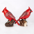 Red Cardinal Salt & Pepper Set