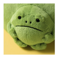 Ricky Rain Frog Pouch