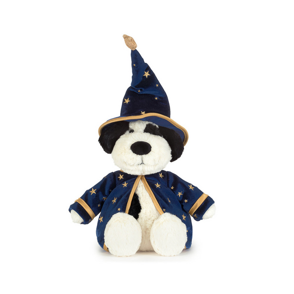 Rufferty Puppy Wizard Outfit
