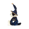 Rufferty Puppy Wizard Outfit