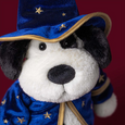 Rufferty Puppy Wizard Outfit